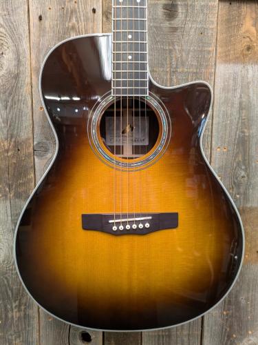 Morris R-14G BS 【L.R.Baggs Element搭載】