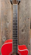 Morris R-14G RED 【L.R.Baggs Element搭載】_6