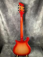Rickenbacker 620 FG_5