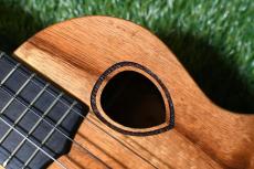 G String T4 DH Tenor_9