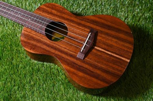 Big Island KT-CTS Concert