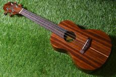 Big Island KT-CTS Concert_2