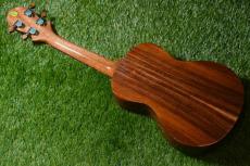 Big Island KT-CTS Concert_3