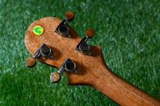 Big Island KT-CTS Concert_6