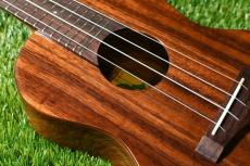 Big Island KT-CTS Concert_9