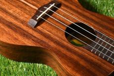 Big Island KT-CTS Concert_10