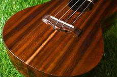 Big Island KT-CTS Concert_11