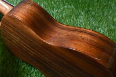 Big Island KT-CTS Concert_13