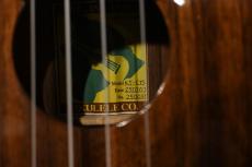 Big Island KT-CTS Concert_15