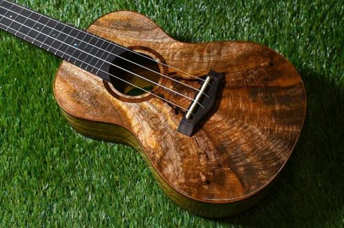 Big Island U-MO-CTS Concert