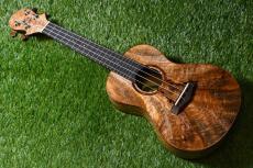 Big Island U-MO-CTS Concert_2