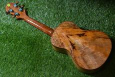 Big Island U-MO-CTS Concert_3