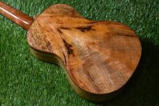 Big Island U-MO-CTS Concert_4