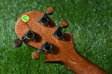 Big Island U-MO-CTS Concert_6