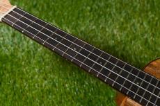 Big Island U-MO-CTS Concert_7