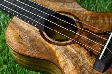 Big Island U-MO-CTS Concert_9