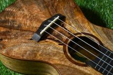 Big Island U-MO-CTS Concert_10