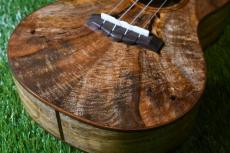 Big Island U-MO-CTS Concert_11