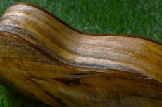 Big Island U-MO-CTS Concert_13