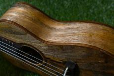 Big Island U-MO-CTS Concert_14