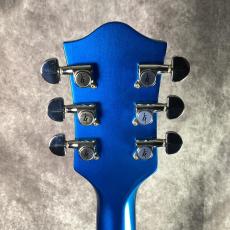 Gretsch G6120SHP Brian Setzer Hot Rod_6