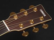 YAMAHA LL6 ARE ~Natural~_3