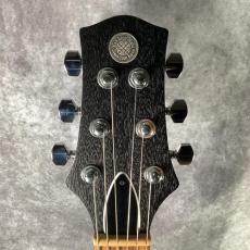 KZ GUITAR WORKS KZ One Solid_2