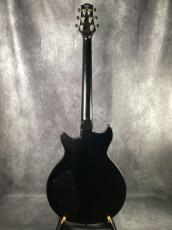 KZ GUITAR WORKS KZ One Solid_5
