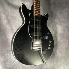 KZ GUITAR WORKS KZ One Solid_9