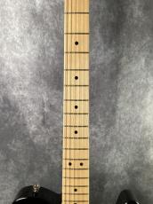 Fender American Professional Telecaster_3