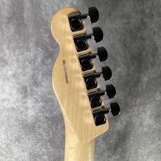 Fender American Professional Telecaster_6