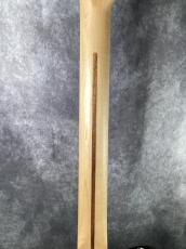 Fender American Professional Telecaster_7