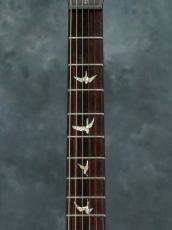 Paul Reed Smith [PRS] 35th Anniversary Custom 24 Angry Larry_4