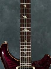 Paul Reed Smith [PRS] 35th Anniversary Custom 24 Angry Larry_5