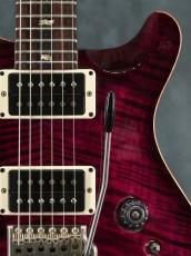 Paul Reed Smith [PRS] 35th Anniversary Custom 24 Angry Larry_7