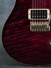 Paul Reed Smith [PRS] 35th Anniversary Custom 24 Angry Larry_8