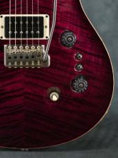 Paul Reed Smith [PRS] 35th Anniversary Custom 24 Angry Larry_9
