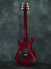 Paul Reed Smith [PRS] 35th Anniversary Custom 24 Angry Larry_10