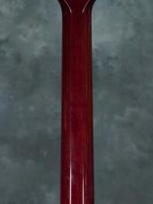 Paul Reed Smith [PRS] 35th Anniversary Custom 24 Angry Larry_12