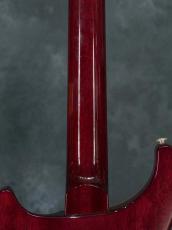 Paul Reed Smith [PRS] 35th Anniversary Custom 24 Angry Larry_13