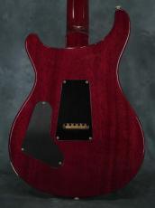 Paul Reed Smith [PRS] 35th Anniversary Custom 24 Angry Larry_14