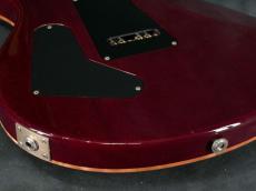 Paul Reed Smith [PRS] 35th Anniversary Custom 24 Angry Larry_17