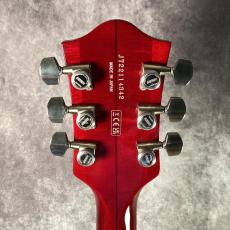 Gretsch G6119T-ET Tennessee Rose Pro Players Edition_6