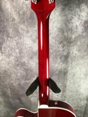 Gretsch G6119T-ET Tennessee Rose Pro Players Edition_7