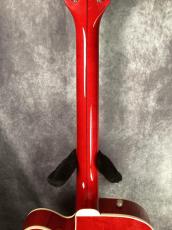 Gretsch 6119 Tennessee Rose_7