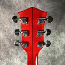 Gretsch 6119 Tennessee Rose_6