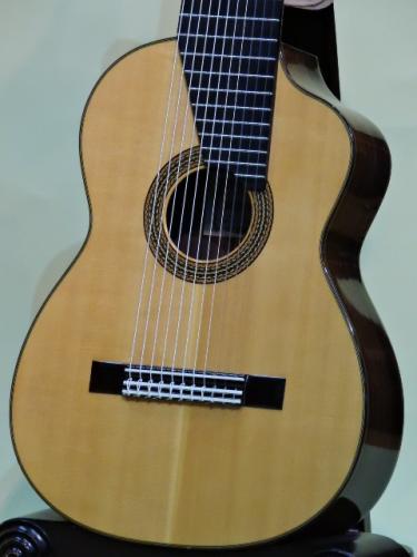 ASTURIAS 11弦ギター