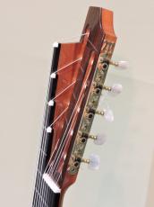 ASTURIAS 11弦ギター_2