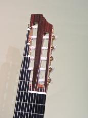 ASTURIAS 11弦ギター_3