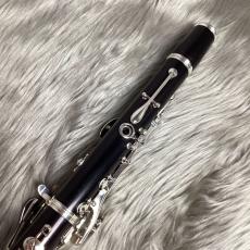 Buffet Crampon E13/inB_8